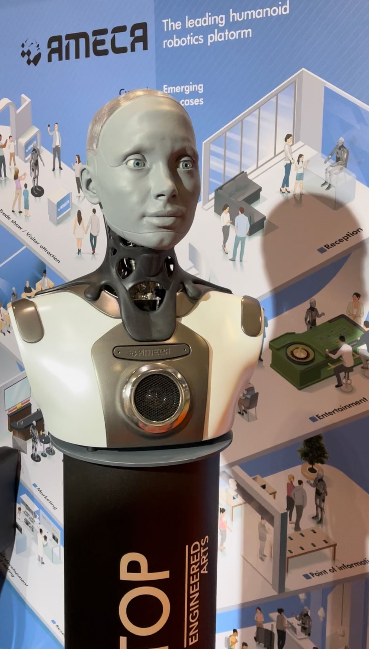 A Robotic Wonderland: ICRA 2023