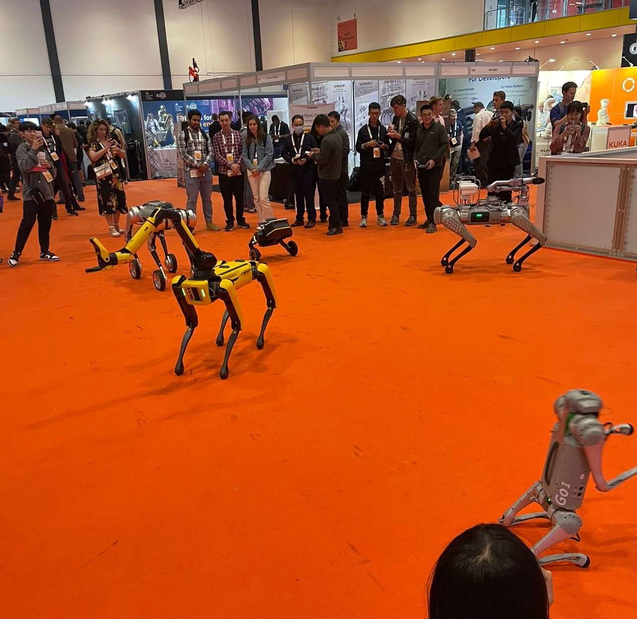 A Robotic Wonderland: ICRA 2023